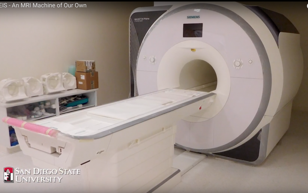 An MRI Machine of Our Own